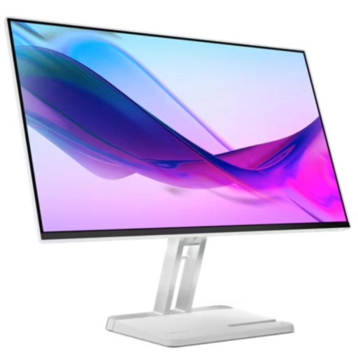Lenovo Monitor L24i-4A (67BCKAC6AE)