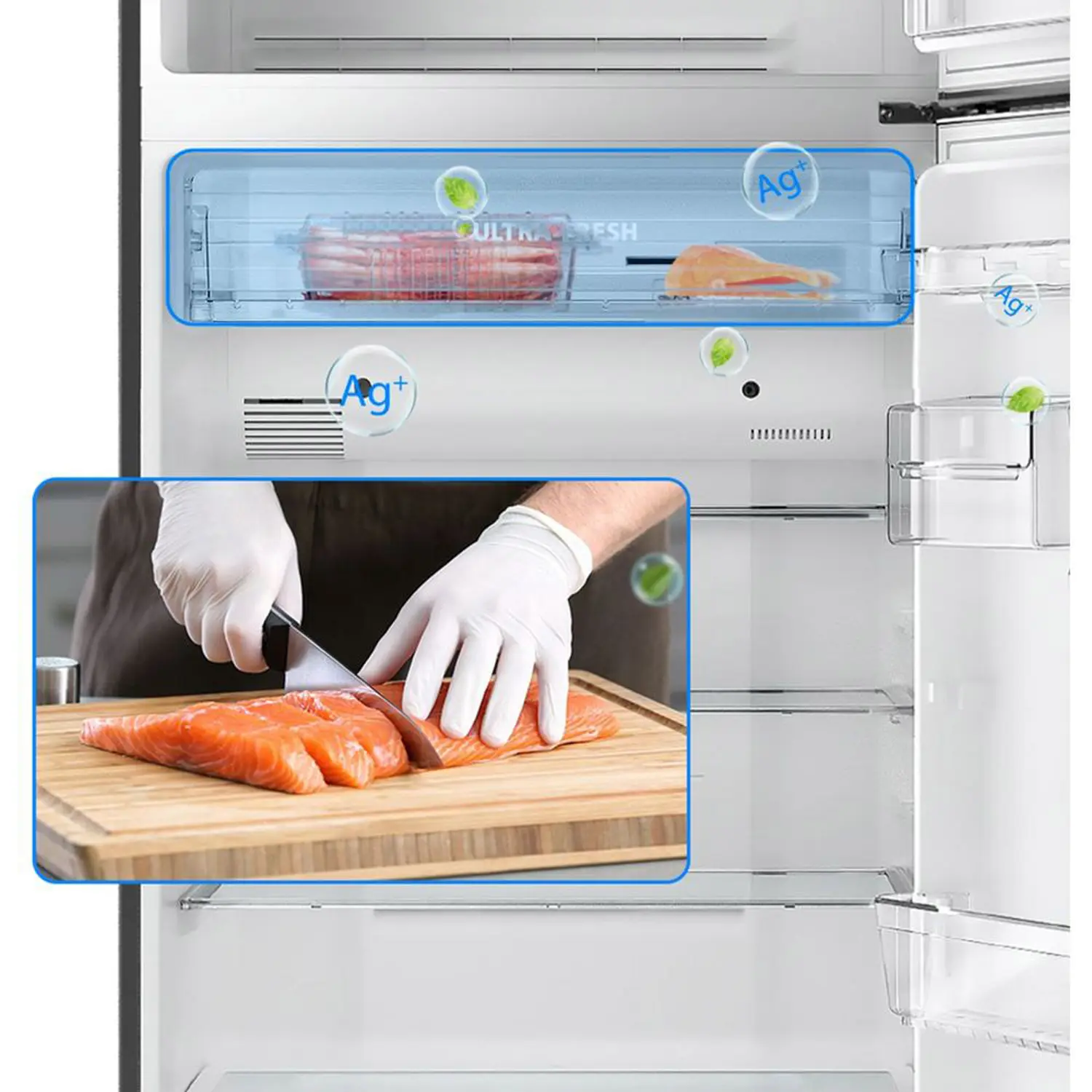 Toshiba Top Mount Refrigerator 835L Green (GR-RT835WE-GG)